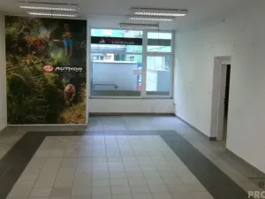Pronájem kanceláře, Brno, Vodní, 403 m2