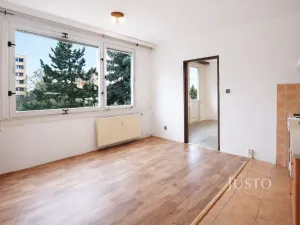 Pronájem bytu 1+1, Písek - Budějovické Předměstí, třída Přátelství, 38 m2