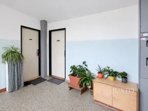 Pronájem bytu 1+1, Písek - Budějovické Předměstí, třída Přátelství, 38 m2