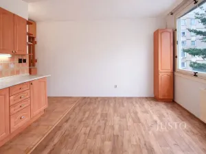 Pronájem bytu 1+1, Písek - Budějovické Předměstí, třída Přátelství, 38 m2