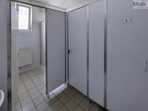 Pronájem kanceláře, Teplice, Novosedlická, 18 m2