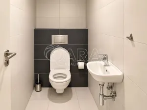 Pronájem bytu 3+kk, Praha - Libeň, U svobodárny, 67 m2