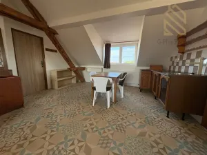 Pronájem bytu 1+kk, Černiv, 48 m2