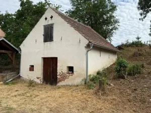 Prodej vinného sklepa, Novosedly, 136 m2