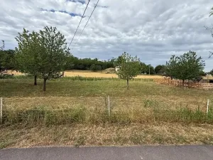 Prodej vinného sklepa, Novosedly, 136 m2