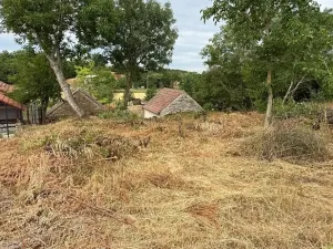 Prodej vinného sklepa, Novosedly, 136 m2