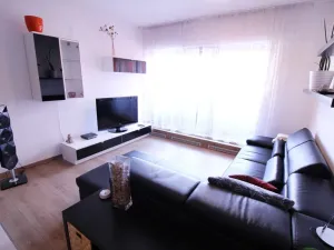 Pronájem bytu 2+kk, Brno - Černovice, Spáčilova, 58 m2
