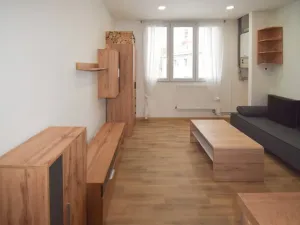 Pronájem bytu 1+kk, Úněšov, 20 m2