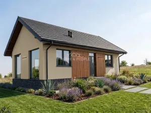 Prodej rodinného domu, Nechvalice - Dražka, 90 m2