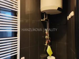 Pronájem bytu 3+kk, České Budějovice - České Budějovice 3, Skuherského, 105 m2