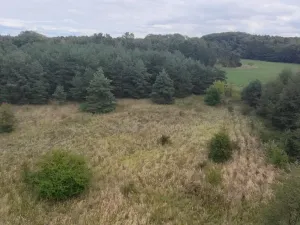 Prodej pozemku, Bechlín - Předonín, 15382 m2