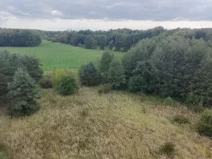 Prodej pozemku, Bechlín - Předonín, 15382 m2