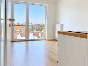 Pronájem bytu 2+kk, Plzeň - Jižní Předměstí, Poděbradova, 46 m2