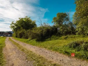 Prodej pozemku pro bydlení, Pňovany, 1312 m2