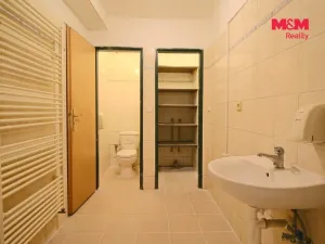 Pronájem bytu 1+1, Dolany, 37 m2