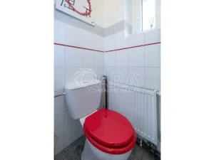 Prodej rodinného domu, Neratovice, 5. května, 411 m2