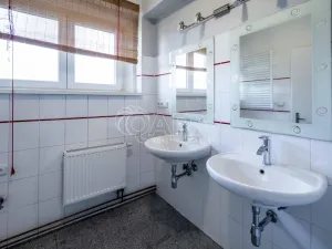 Prodej rodinného domu, Neratovice, 5. května, 411 m2