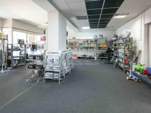 Prodej rodinného domu, Neratovice, 5. května, 411 m2