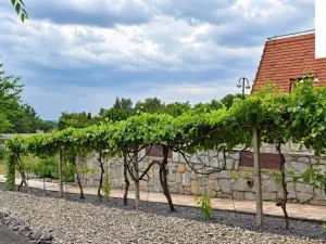 Prodej rodinného domu, Jiřice u Miroslavi, 662 m2