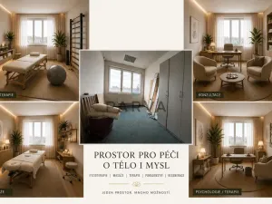 Pronájem obchodního prostoru, Rokycany - Nové Město, Jiráskova, 12 m2