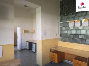 Pronájem skladu, Batelov, Tovární, 10000 m2