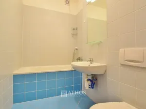 Pronájem bytu 1+kk, Brno, Horova, 27 m2