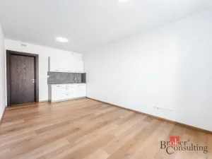 Pronájem bytu 1+kk, Olomouc - Nová Ulice, Třída Jiřího Pelikána, 31 m2