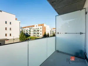 Pronájem bytu 1+kk, Olomouc - Nová Ulice, Třída Jiřího Pelikána, 31 m2
