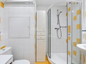 Prodej bytu 1+1, Praha - Chodov, Brodského, 29 m2