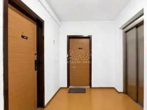 Prodej bytu 1+1, Praha - Chodov, Brodského, 29 m2