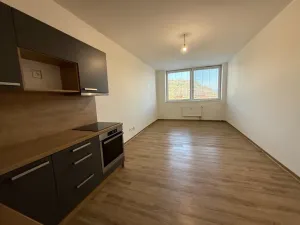Pronájem bytu 1+kk, Ústí nad Labem, Velká Hradební, 30 m2
