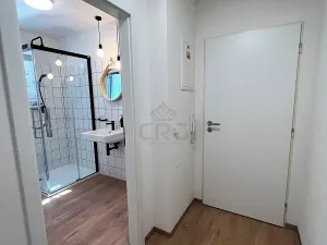Pronájem bytu 2+kk, Brno, Sovinec, 42 m2