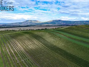 Prodej rodinného domu, Březí, Platanová, 133 m2