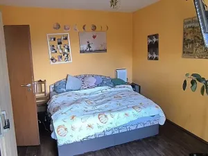 Pronájem bytu 1+1, Aš, Tylova, 36 m2