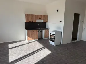 Prodej bytu 1+kk, Zruč nad Sázavou, Mládeže, 33 m2
