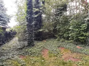 Prodej lesa, Mostkovice, 576 m2