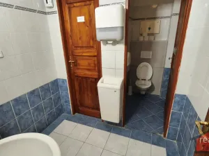 Prodej komerční nemovitosti, Nupaky, Nupacká, 241 m2