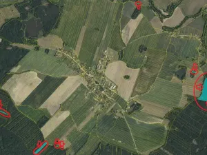 Prodej lesa, Novosedly nad Nežárkou, 67560 m2