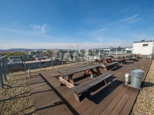 Pronájem bytu 1+kk, Praha - Karlín, Molákova, 36 m2