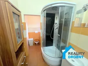 Pronájem bytu 1+1, Děčín, Oblouková, 45 m2