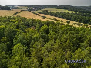 Prodej rodinného domu, Černošice, Foglarova, 400 m2
