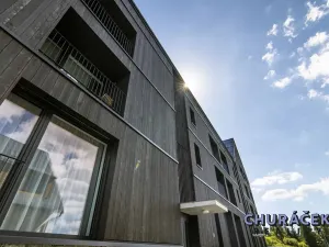 Prodej bytu 2+kk, Abertamy, Plešivecká, 56 m2