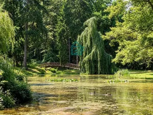 Prodej bytu 1+kk, Hluboká nad Vltavou, 33 m2