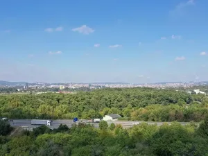 Prodej zahrady, Brno, 319 m2