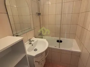 Pronájem bytu 1+1, Plzeň, Břeclavská, 39 m2