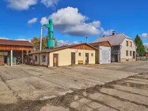 Prodej výrobních prostor, Seletice, 19535 m2