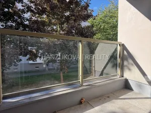 Pronájem bytu 2+kk, České Budějovice, Hálkova, 36 m2