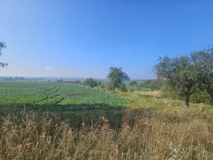 Pronájem chaty, Tehov, Všestarská, 30 m2
