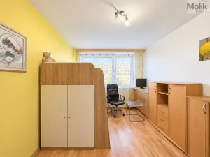 Pronájem bytu 3+1, Most, Františka Malíka, 68 m2