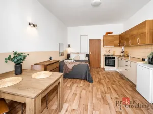 Prodej bytu 1+1, Praha - Střešovice, Nad Panenskou, 42 m2